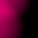 Black Fuchsia