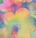 Flower Blur