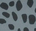 Funky Cheetah