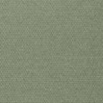 Georgian khaki