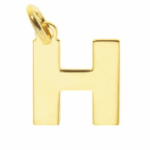 H mini