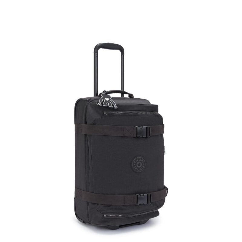 AVIANA S - Imagen 4
