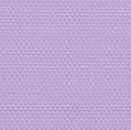 Lavender Lilac