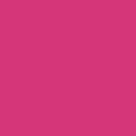Purple Fuchsia