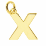 X mini
