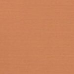 Gobi Sands