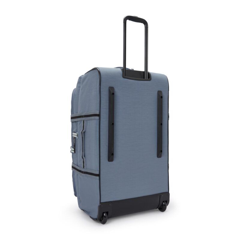 AVIANA L - Imatge 6