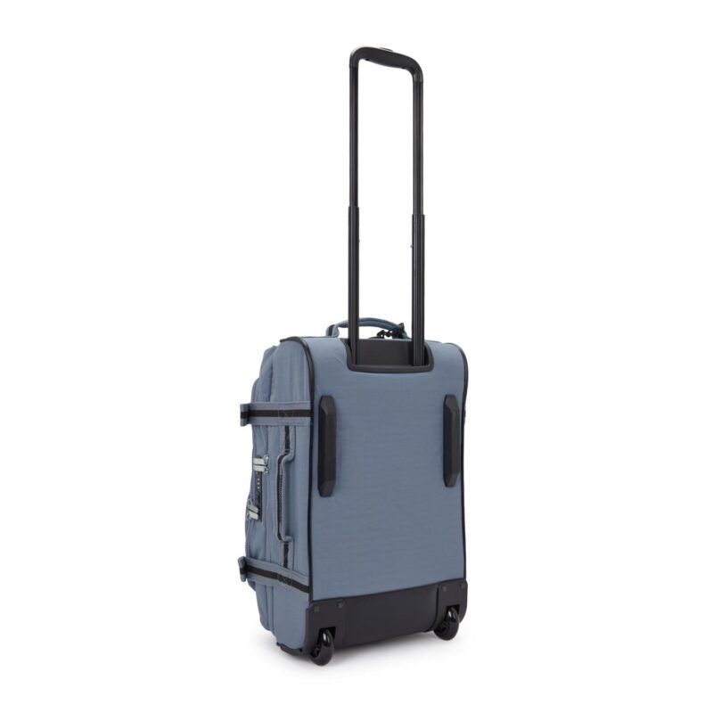 AVIANA S - Imatge 2