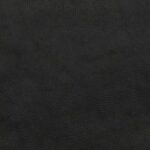 True Black