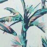 More Palm Trees