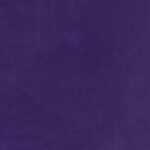 VIP Purple