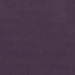 Blackberry Purple